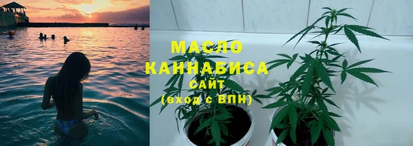 молекула духа Дмитровск