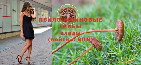 кокаин Ельня