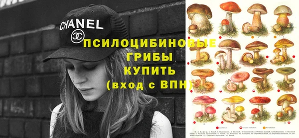 гидропоника Елабуга